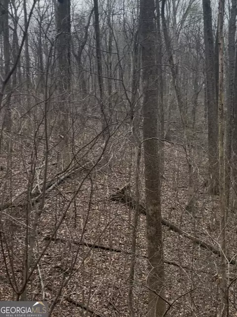 0 Sutton Rd, Talking Rock, GA 30175 photo 7