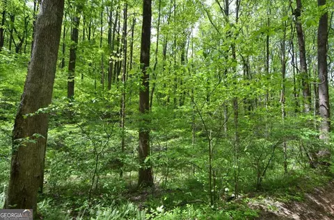 0 Sutton Rd, Talking Rock, GA 30175 photo 5