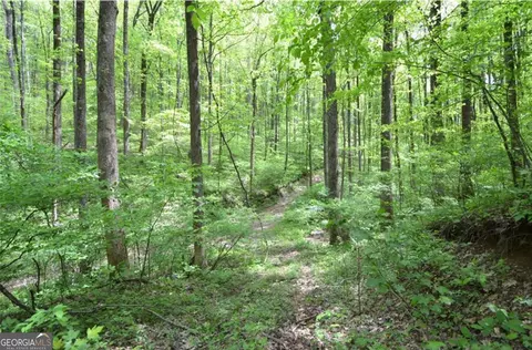 0 Sutton Rd, Talking Rock, GA 30175 photo 2