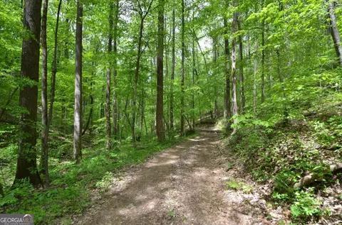 0 Sutton Rd, Talking Rock, GA 30175 photo 3