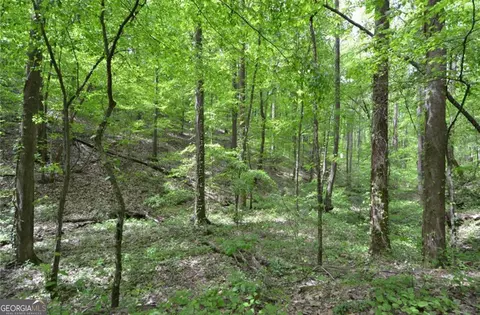 0 Sutton Rd, Talking Rock, GA 30175