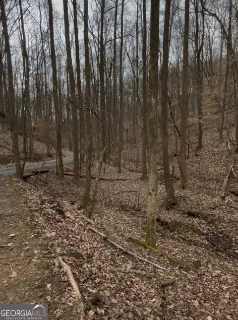 0 Sutton Rd, Talking Rock, GA 30175 photo 11