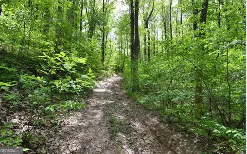 0 Sutton Rd, Talking Rock, GA 30175 photo 6