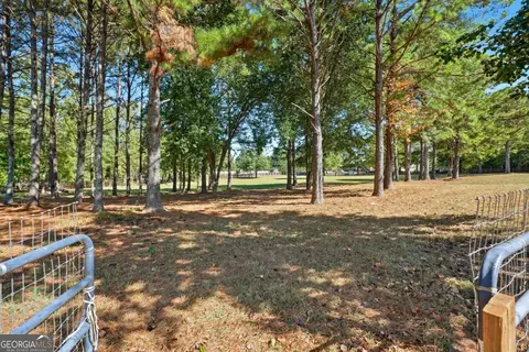 Exterior - 100 Marshas Vineyard, Hampton, GA 30228 photo 14 of 17