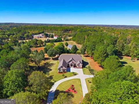 View/Area - 100 Marshas Vineyard, Hampton, GA 30228 photo 2 of 5