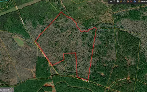69 98 Acres Saxon Mattox Rd, Carlton, GA 30627