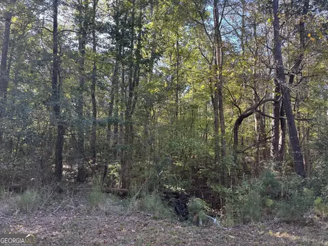 Other - 1516 Stark Rd, Jackson, GA 30233 photo 7 of 10