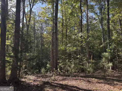 Other - 1516 Stark Rd, Jackson, GA 30233 photo 8 of 10