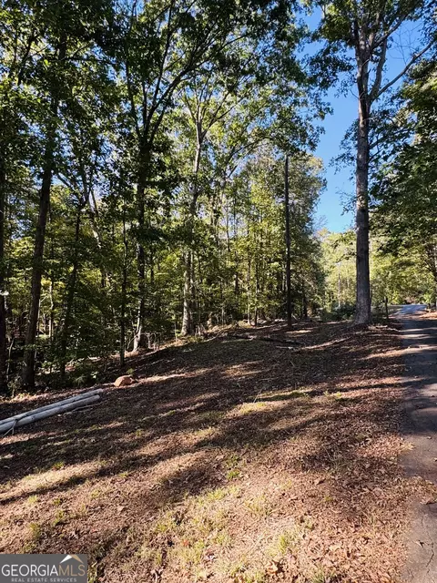 Other - 1516 Stark Rd, Jackson, GA 30233 photo 3 of 10