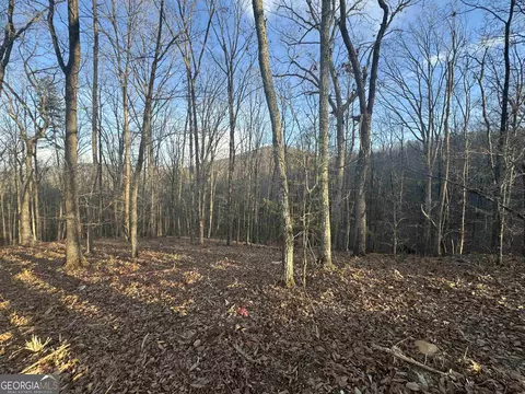 lot55 Teel Mtn Dr, Cleveland, GA 30528