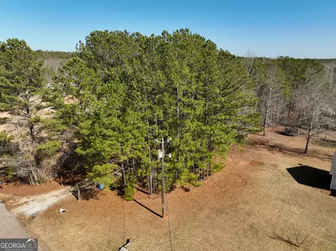 435 Moccasin Gap Rd, Jackson, GA 30233 photo 7