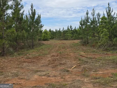 27 Marvin Murphy Rd, Ellaville, GA 31806