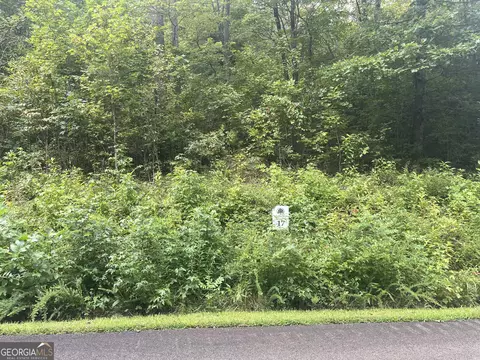 lot17 Staurolite Mountain Dr, Blue Ridge, GA 30513