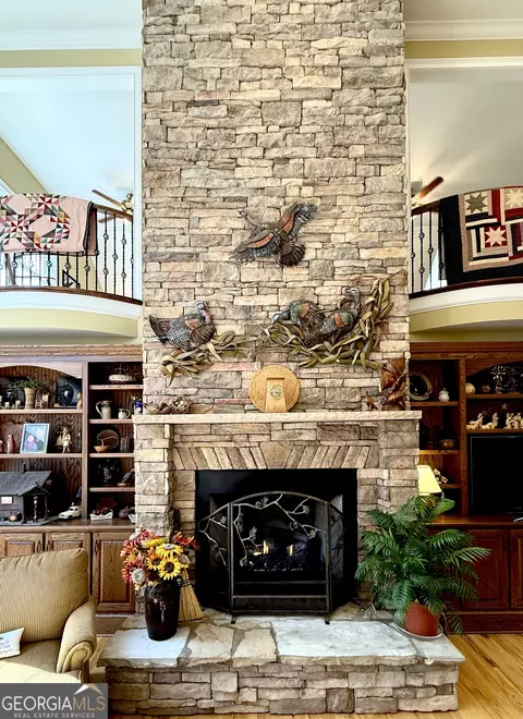 Other - 264 River Fields Dr, Clarkesville, GA 30523 photo 7 of 41