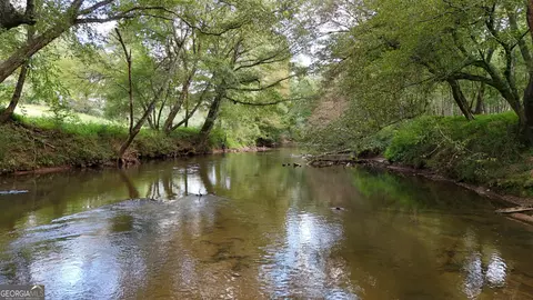 View/Area - 264 River Fields Dr, Clarkesville, GA 30523 photo 4 of 11