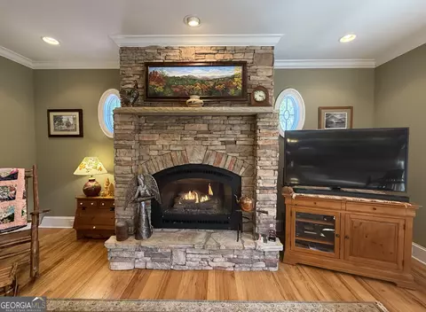 Living - 264 River Fields Dr, Clarkesville, GA 30523 photo 6 of 6