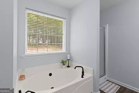 Bath - 320 Cobb Ct, Hampton, GA 30228 photo 3 of 3
