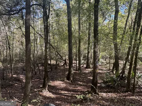0 Sand Hammock Rd, Hawkinsville, GA 31036