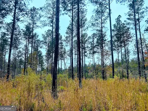 592 Andrew Caldwell Rd #TRACT 2A, Lexington, GA 30648