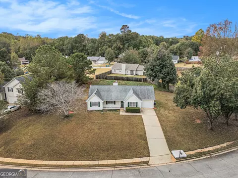 View/Area - 248 Fern Ct, Hampton, GA 30228 photo 3 of 3