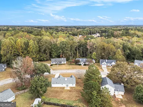 View/Area - 248 Fern Ct, Hampton, GA 30228 photo 1 of 3