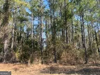 241 Valhalla Rd #LOT 3, Cordele, GA 31015
