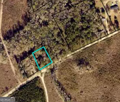 Colesburg-tompk V/l N/s Colesburg-tompkins Road, Woodbine, GA 31569