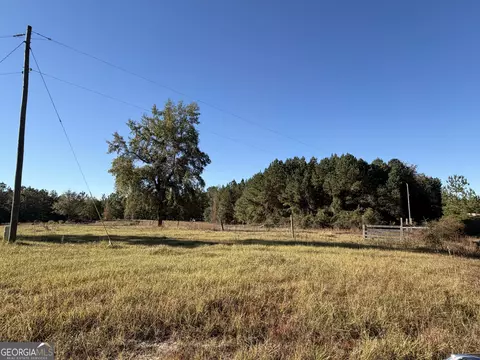 401 Sanders Cemetary Rd, Chauncey, GA 31011