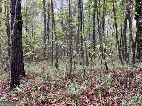 0 Clinton Crossing Dr, Gray, GA 31032 photo 5