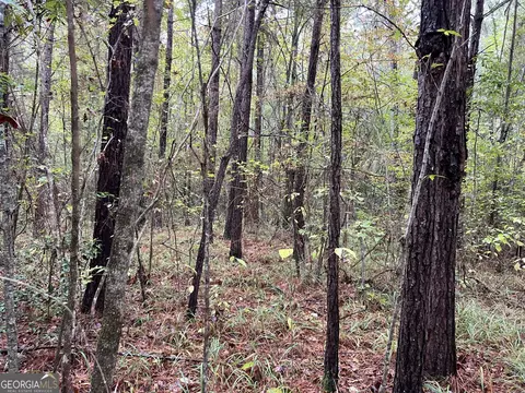 0 Clinton Crossing Dr, Gray, GA 31032 photo 6