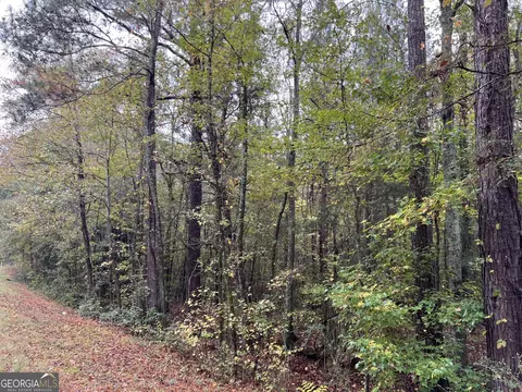 0 Clinton Crossing Dr, Gray, GA 31032 photo 8