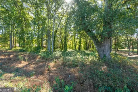 Other - 425 Mitchell Ave, Bowdon, GA 30108 photo 12 of 13