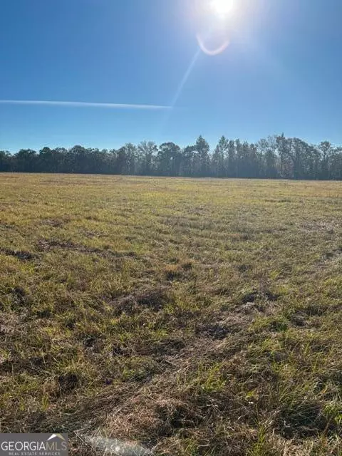 4880 Hwy 280 W, Claxton, GA 30417 photo 7