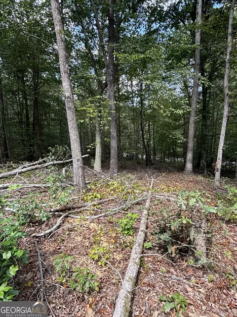 535 Deer Chase Rd, Toccoa, GA 30577 photo 4
