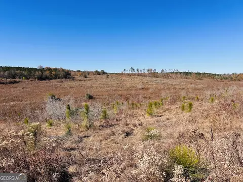 0 Jaye Rd, Rupert, GA 31081 photo 14