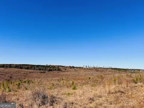 0 Jaye Rd, Rupert, GA 31081 photo 3