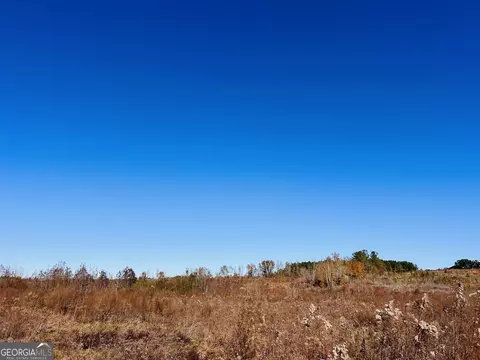 0 Jaye Rd, Rupert, GA 31081 photo 11