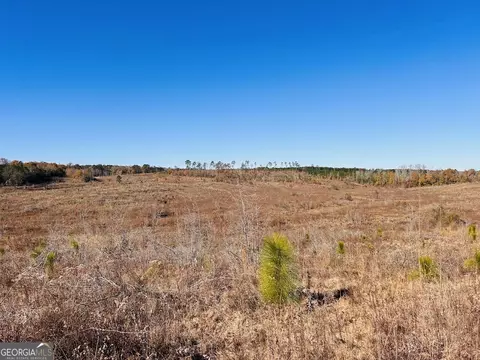 0 Jaye Rd, Rupert, GA 31081 photo 4