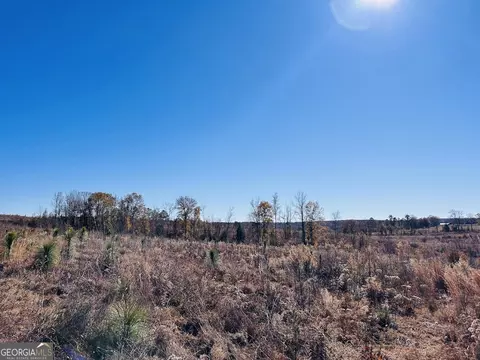 0 Jaye Rd, Rupert, GA 31081 photo 16