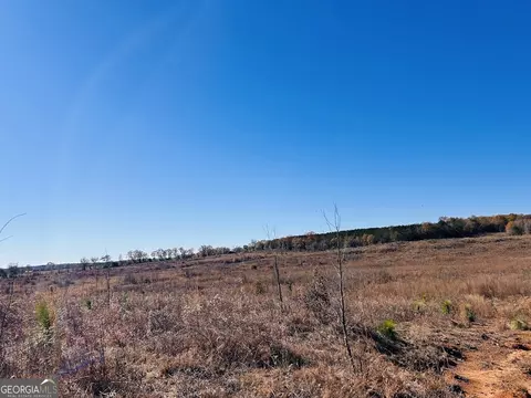 0 Jaye Rd, Rupert, GA 31081 photo 9
