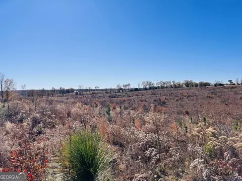 0 Jaye Rd, Rupert, GA 31081 photo 15