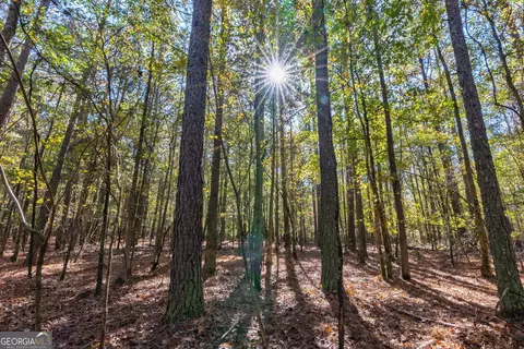 0 Wilson Ln, Arnoldsville, GA 30619