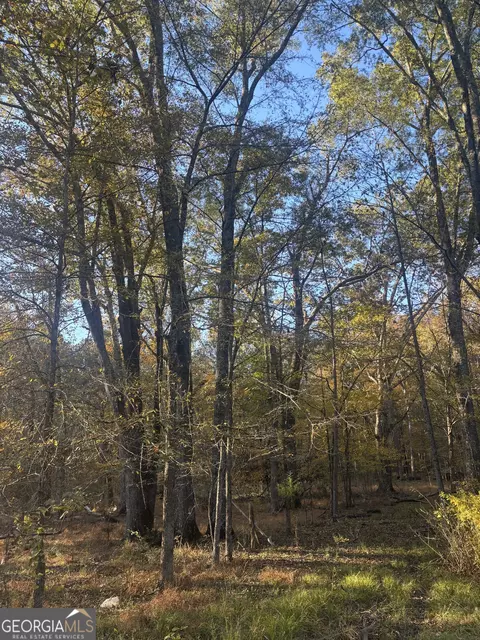 0 Vinson Rd, Tignall, GA 30668