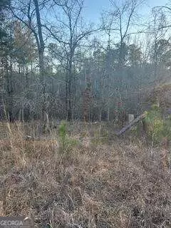 0 River Ridge Trl, Sparta, GA 31087