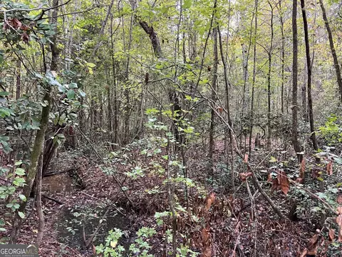 146 Lite N Tie Rd, Gray, GA 31032 photo 3