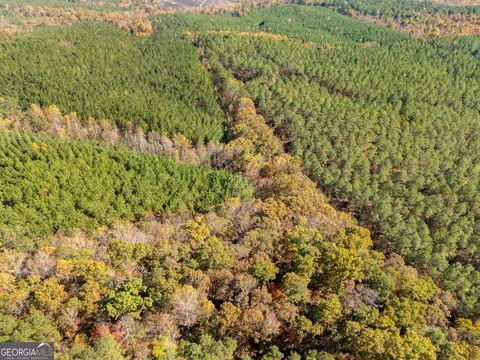 0 Gun Club Rd Off, Tallapoosa, GA 30176