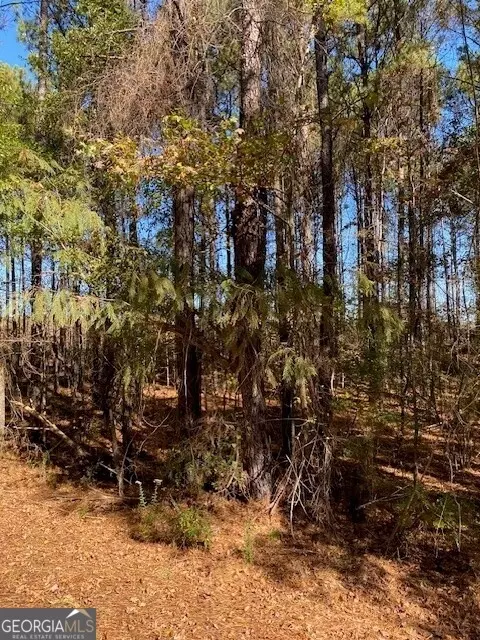 0 Triune Mill Rd #TRACT 200, Thomaston, GA 30286