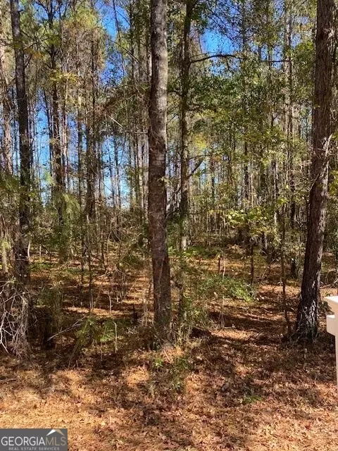 0 Triune Mill Rd #TRACT 201, Thomaston, GA 30286