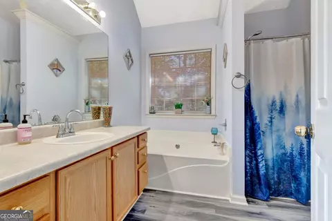 Bath - 2040 Elm Grove Ln, Hampton, GA 30228 photo 2 of 3