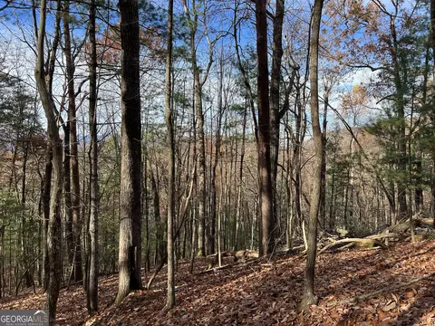 J214 Walnut Mountain Road, Ellijay, GA 30536